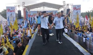 IMG-20241118-WA0350-768x345